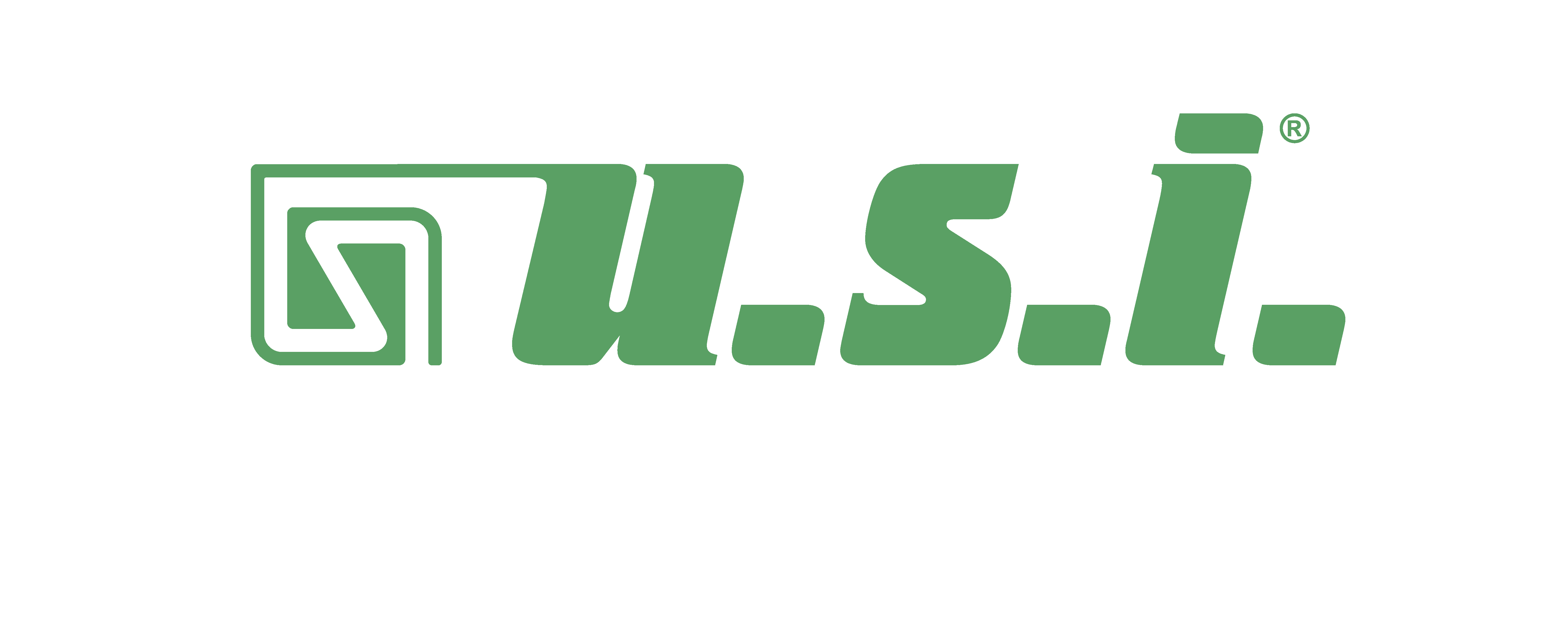 Logo USI